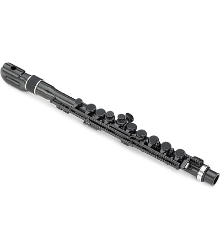 Amazon.com: Nuvo Student Flute Kit - Black : Musical Instruments